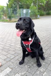 Kundenhund von Verena Siegberg Niederkassel 07.2022
