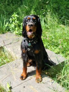 Kundenhund von Familie Eisenhut aus Köln, 11.2025